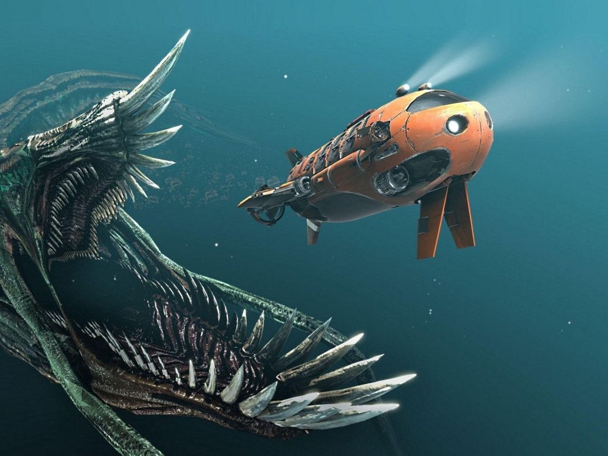 Морские растения ламинария