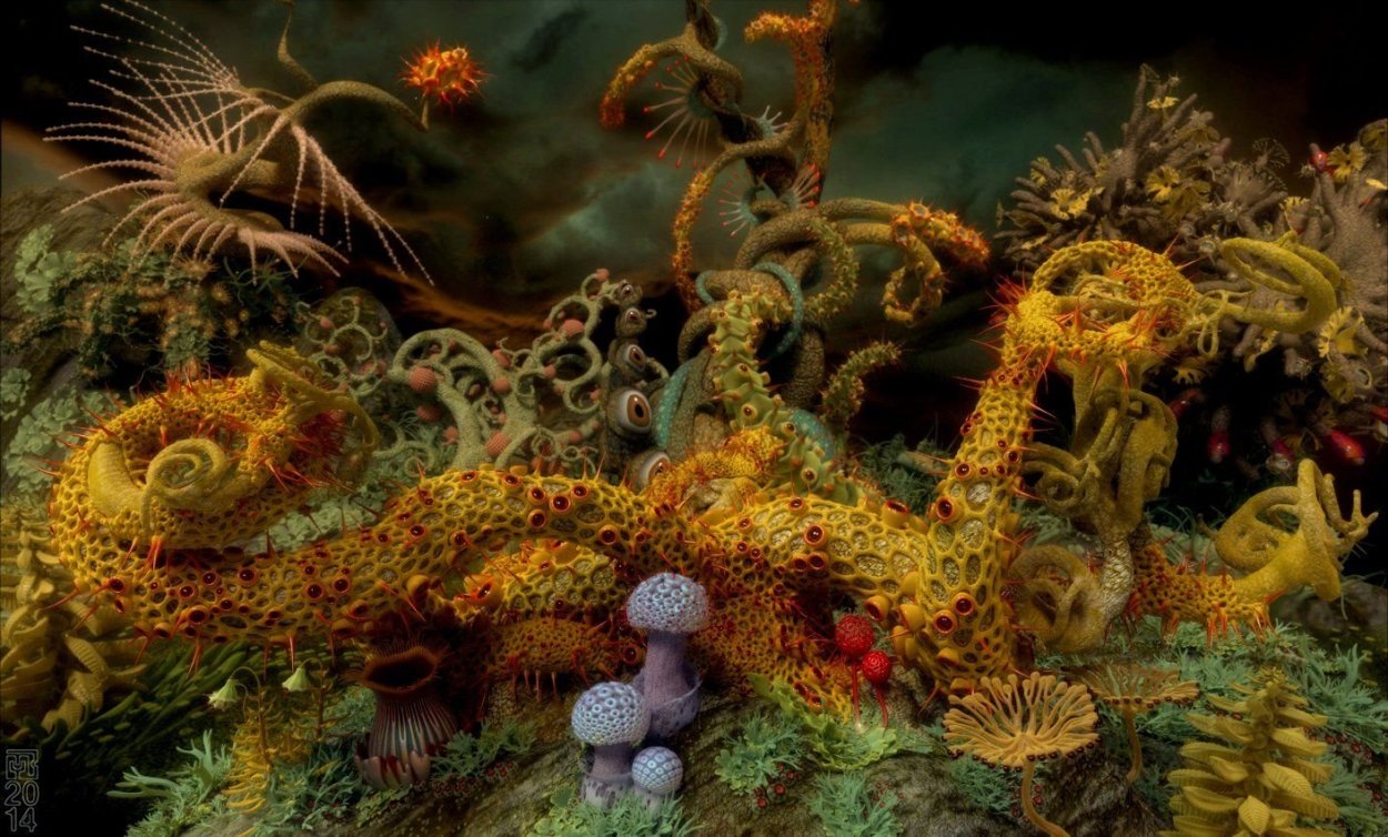 Медуза Кассиопея