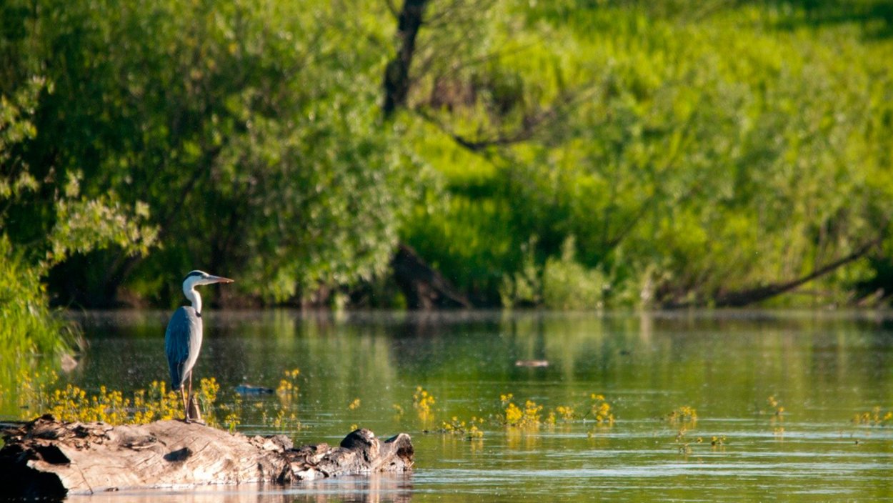 Национальный парк Кама Татарстан