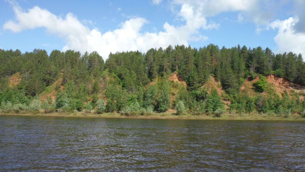 Лесное озеро кувшинки камыш