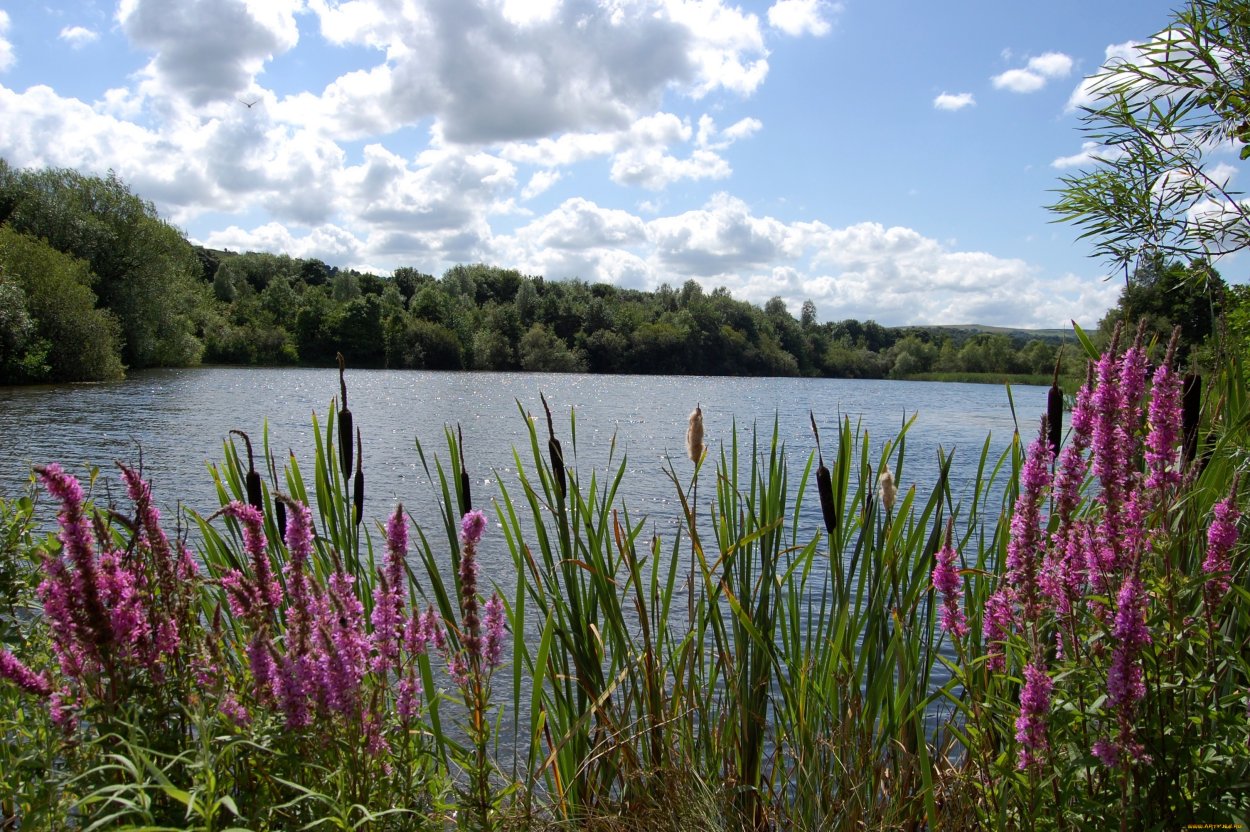 Национальный парк нижняя Кама Татарстан