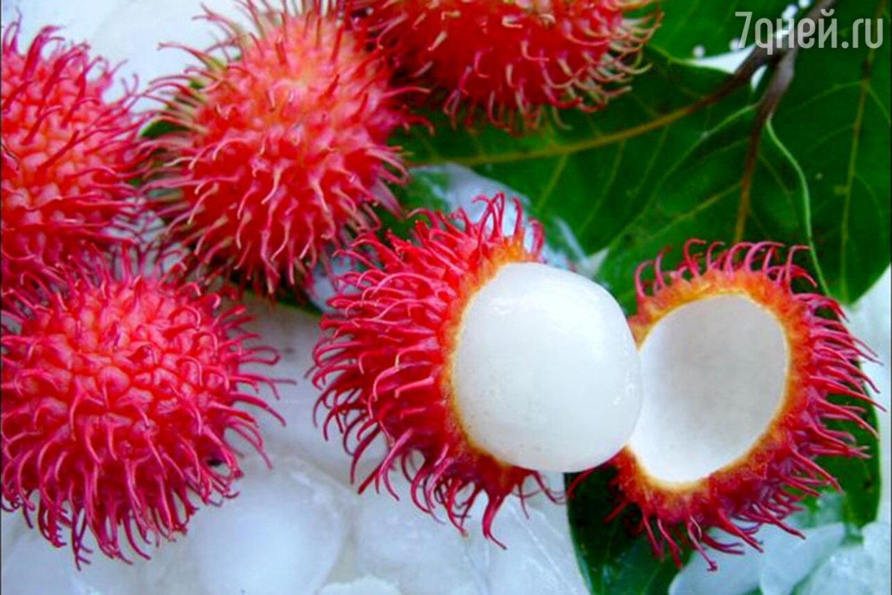 Плесень на рамбутан