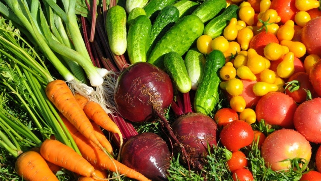 Растения овощи