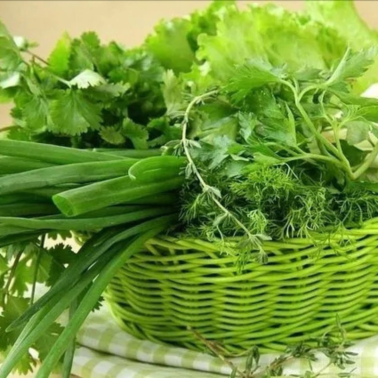 Зелень в ассортименте