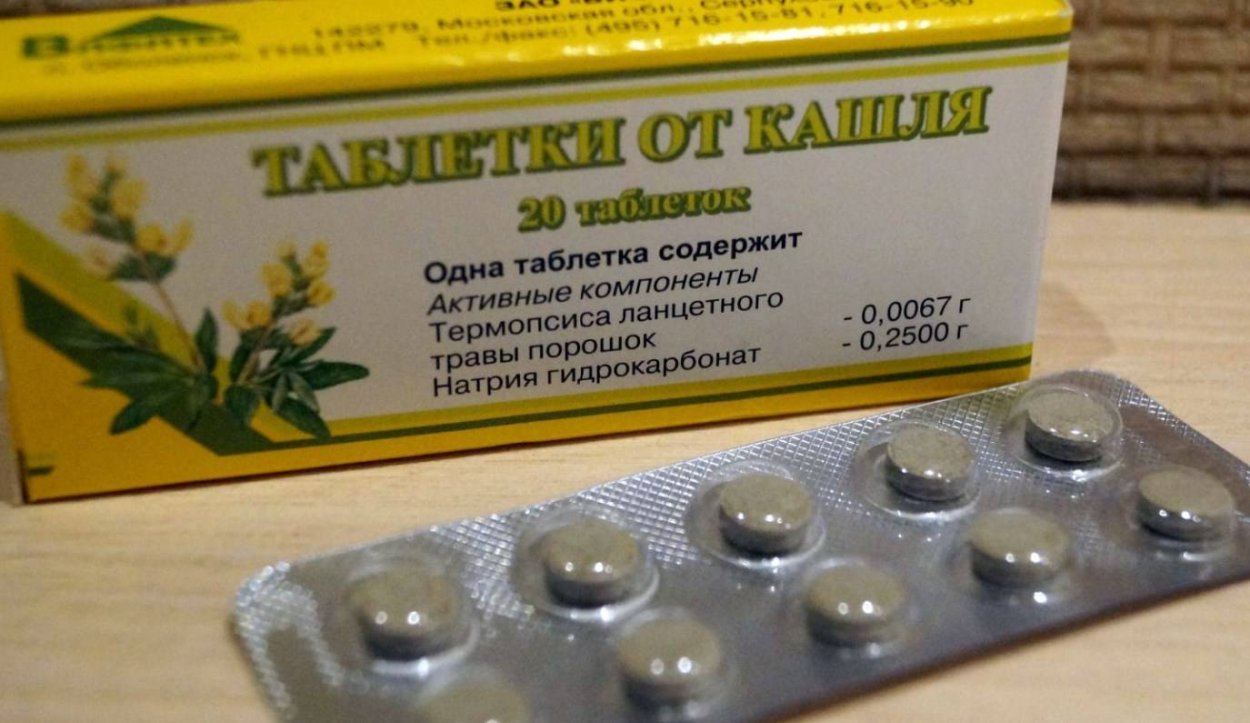 Термопсис ланцетный гербарий