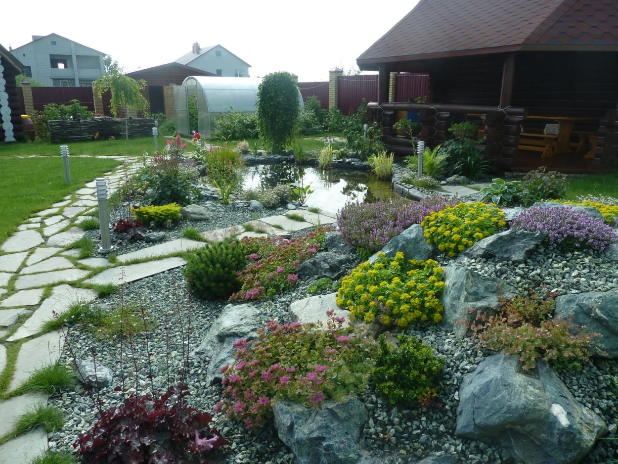 Мшанка шиловидная в ландшафтном дизайне