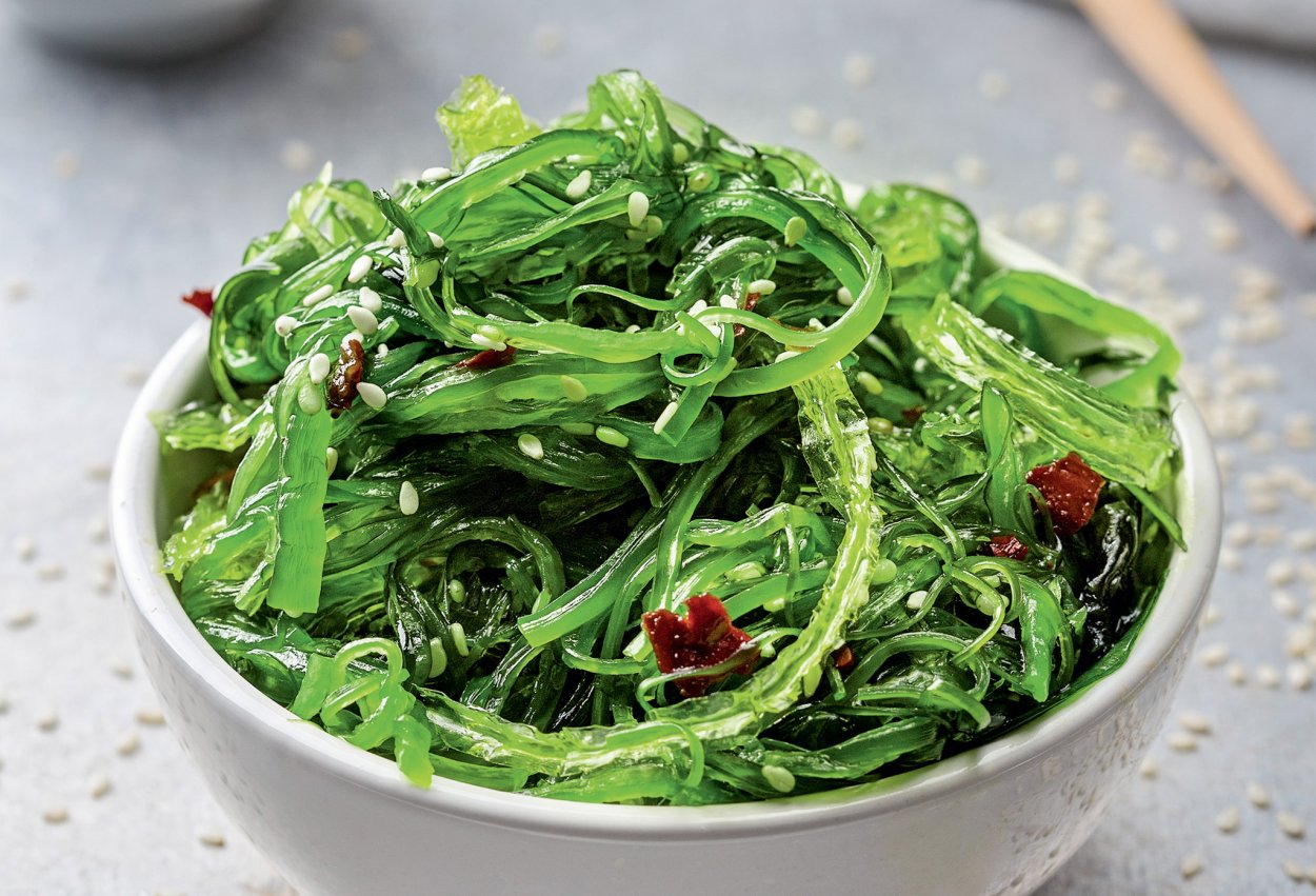 Ундария перистая вакаме