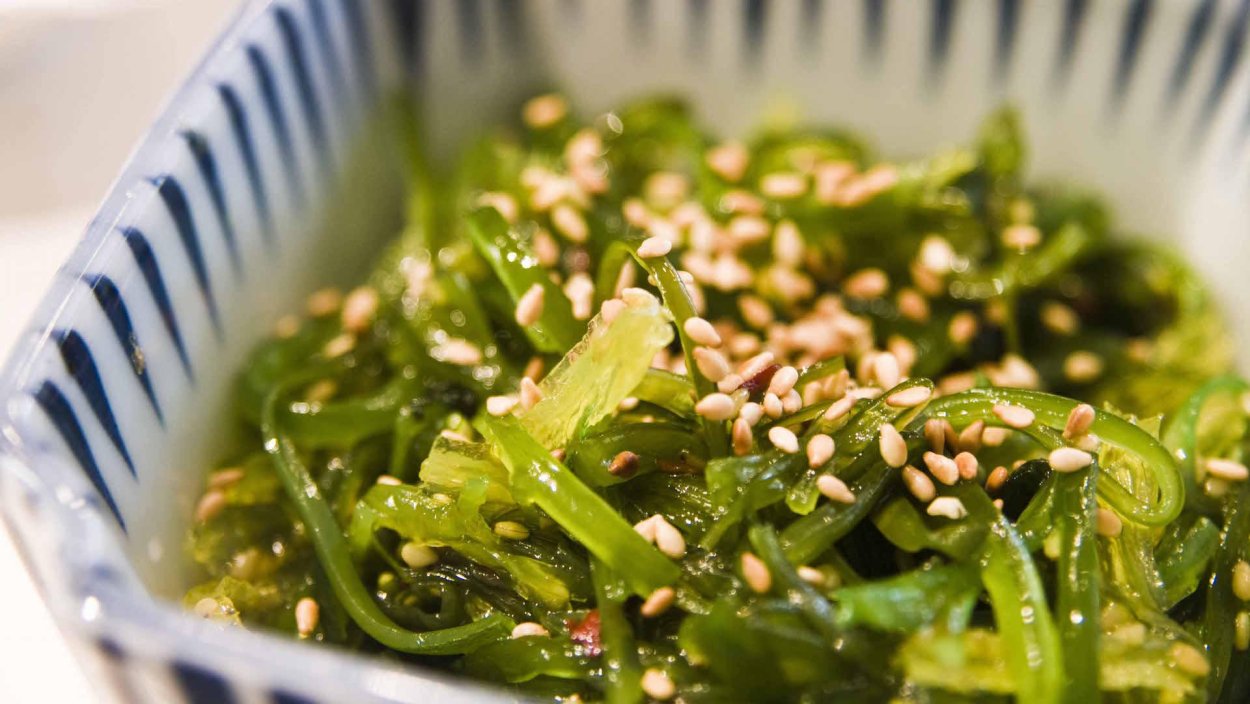 Ламинария Дальневосточная