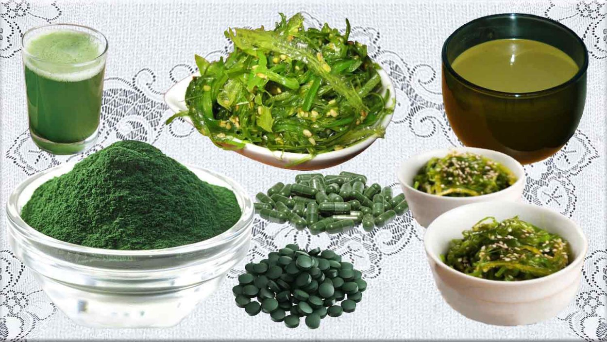 Водоросли от сахара