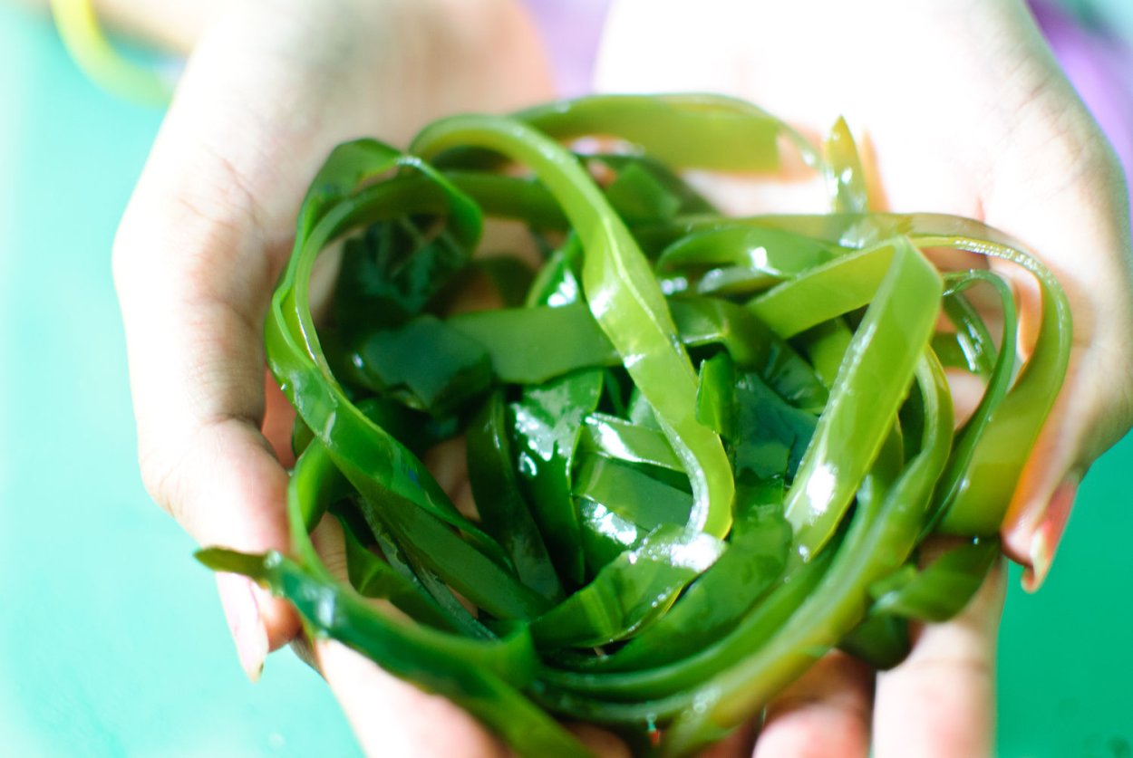 Зелёные водоросли съедобные название