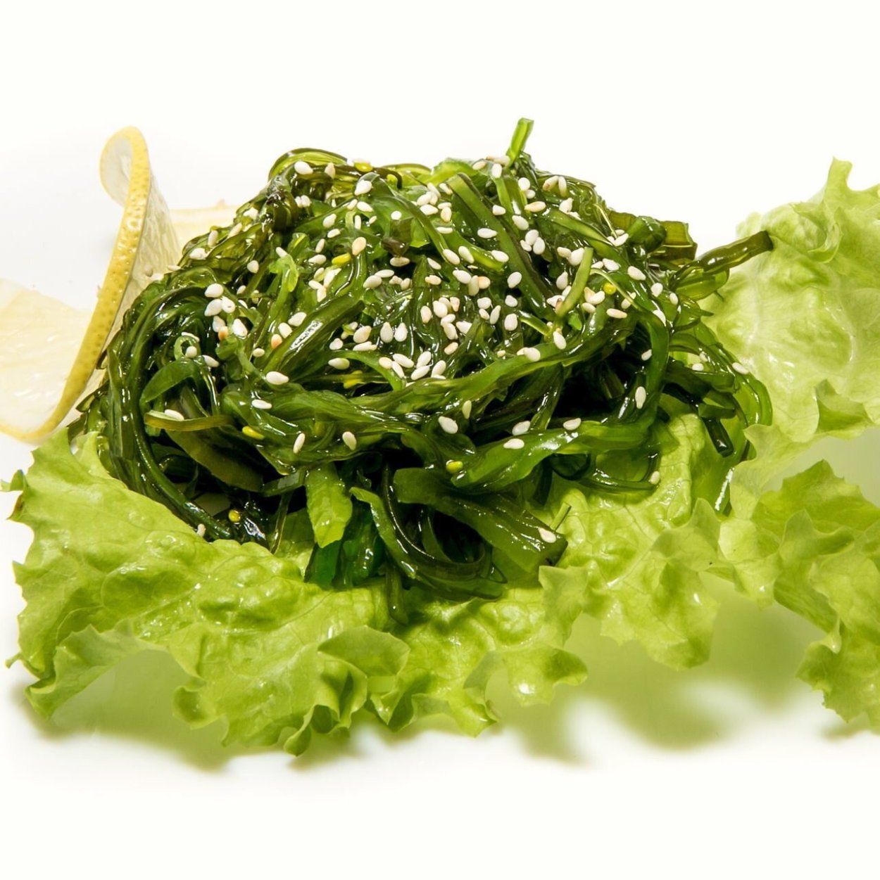 Ульва латук