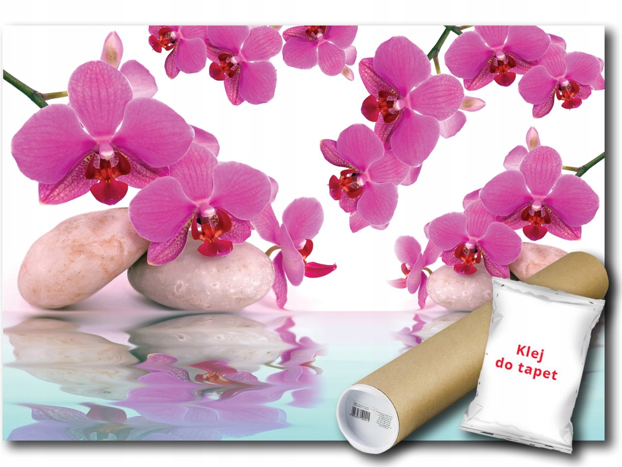 Фотообои белая Орхидея
