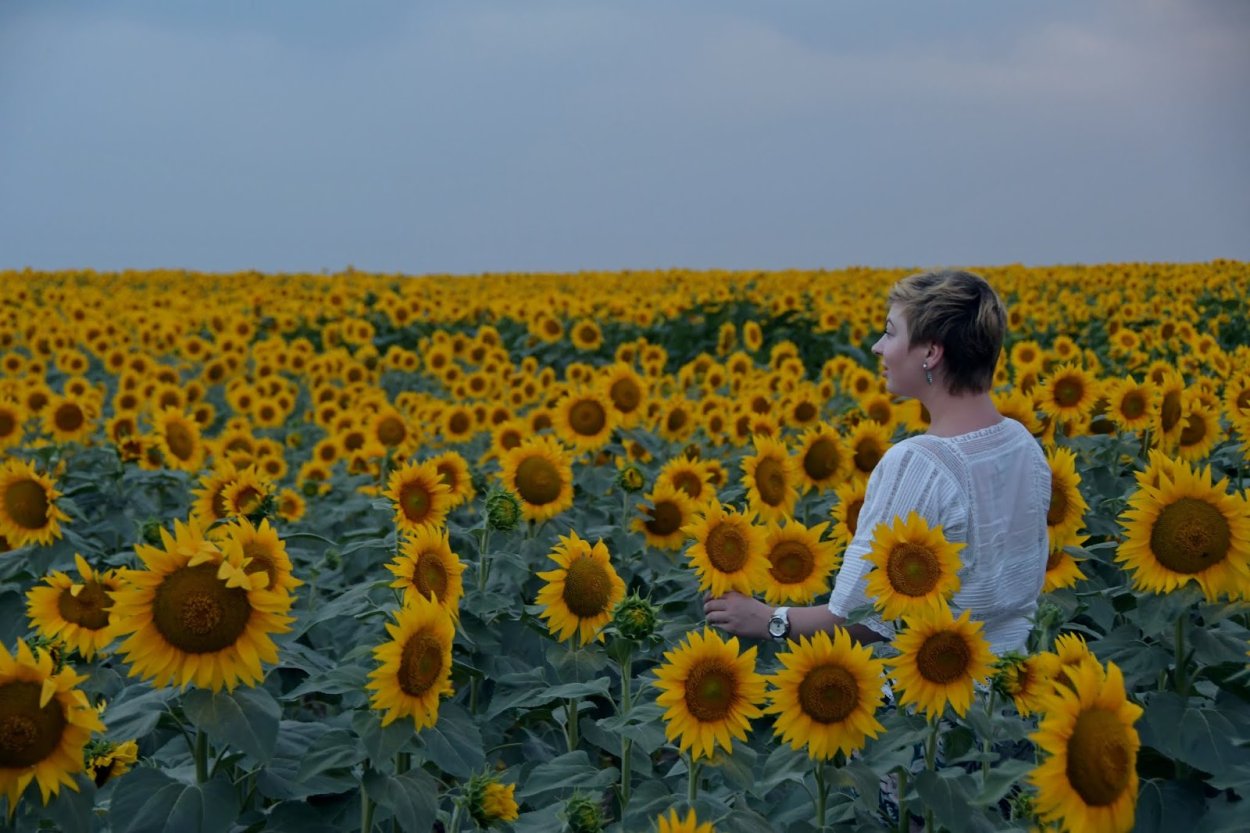 Девушка в поле подсолнухов
