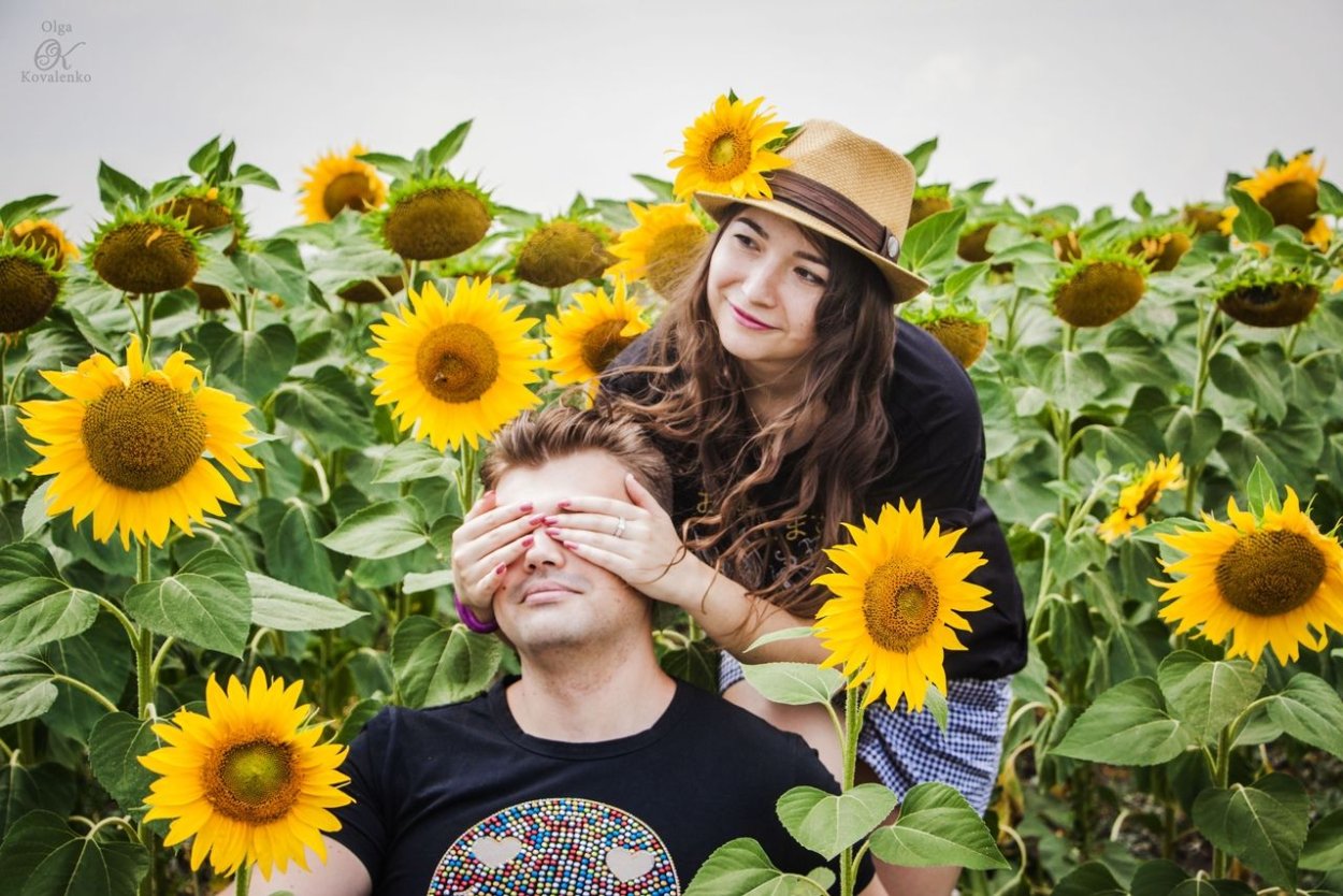 Поле подсолнухов