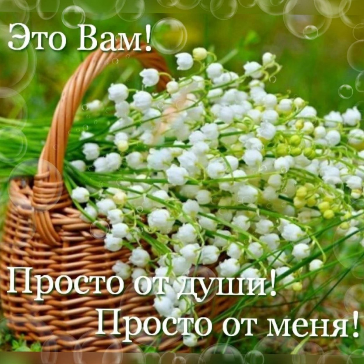 Поле ландышей