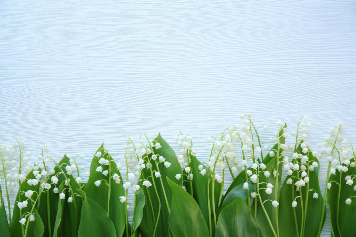 Весенний фон