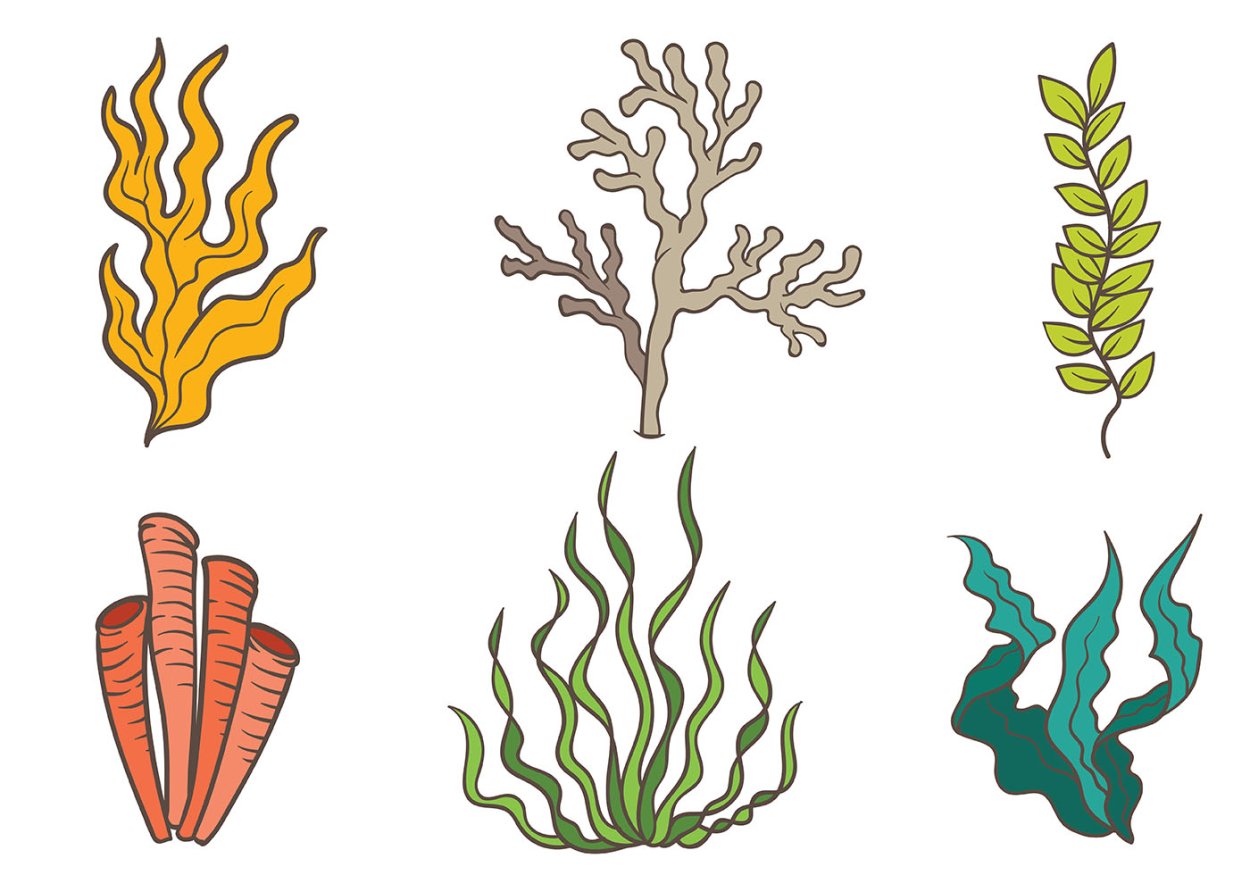 Стилизованные водоросли