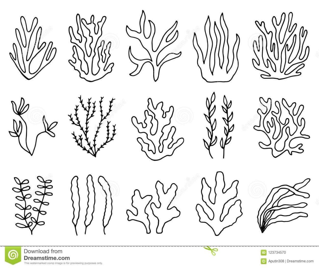 Водоросли контур