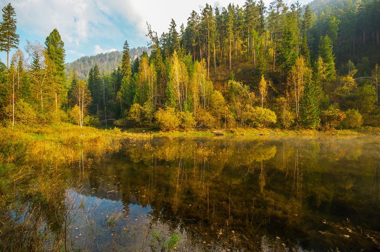 Карагач река в Сибири