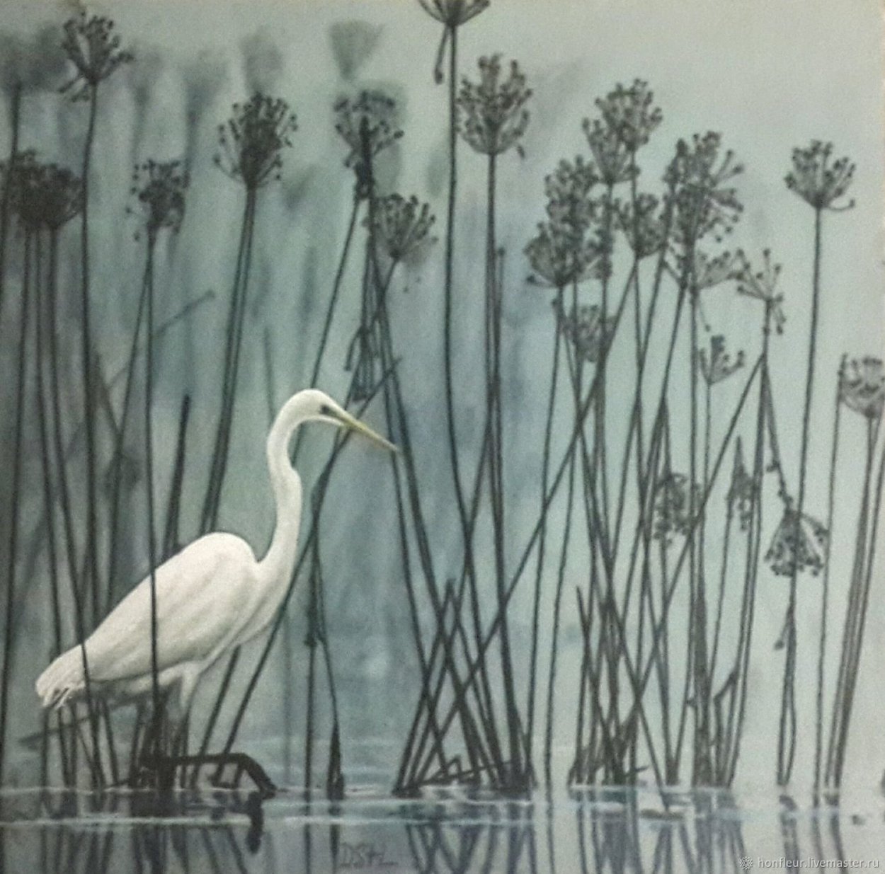 Кряква цапля выпь