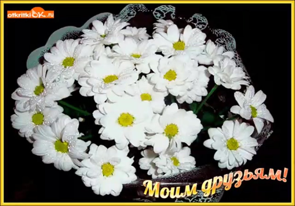 Букет белых хризантем