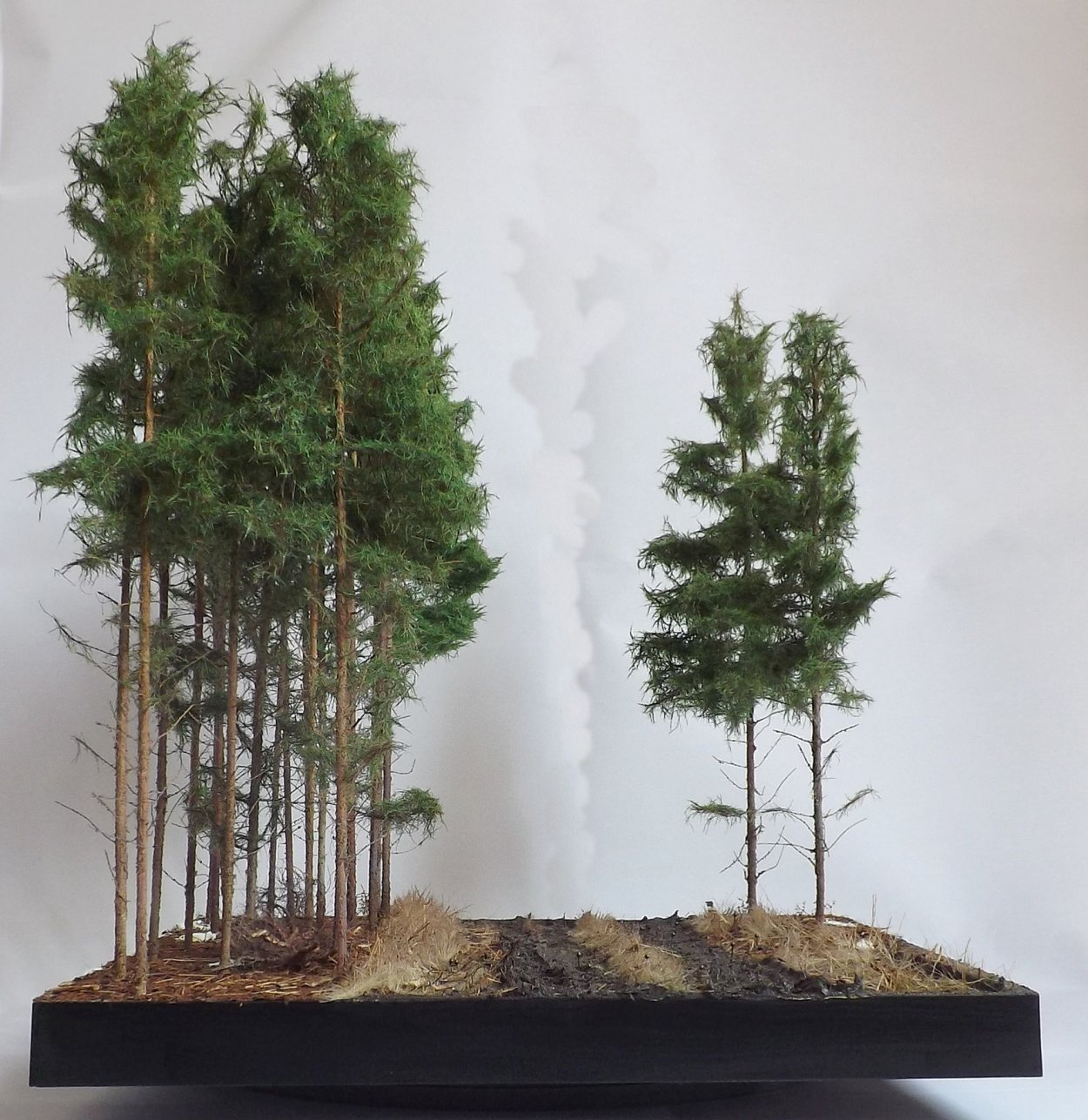 Растения для диорам