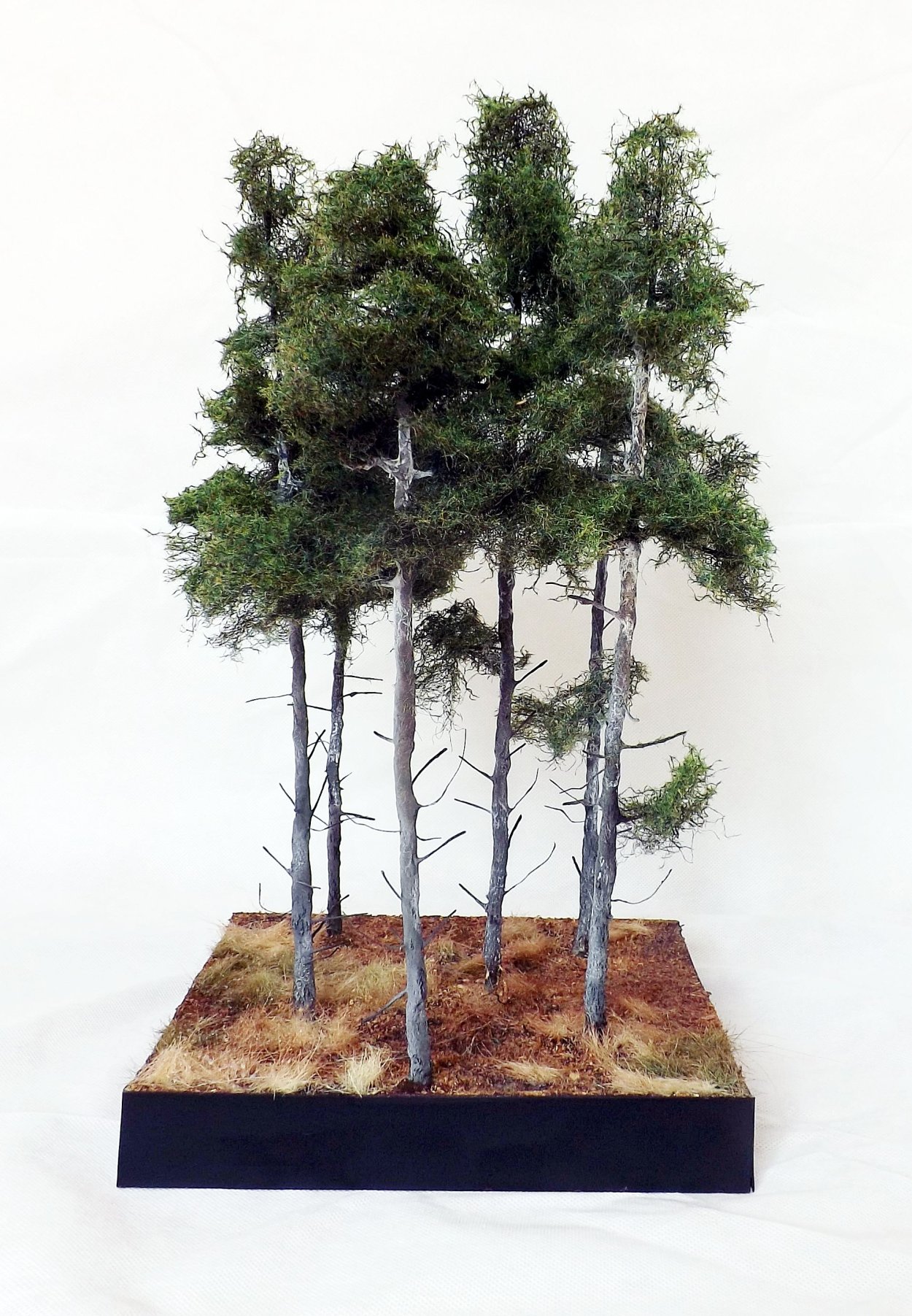 Диорамы Ильи Переяславцева