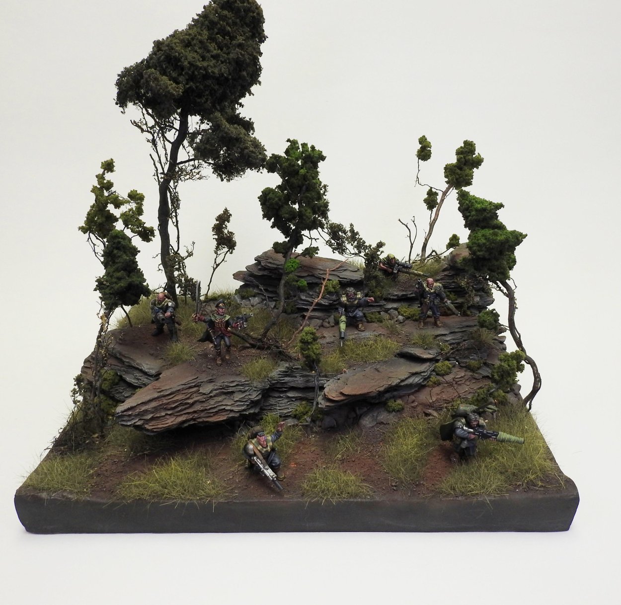 Террейн лес