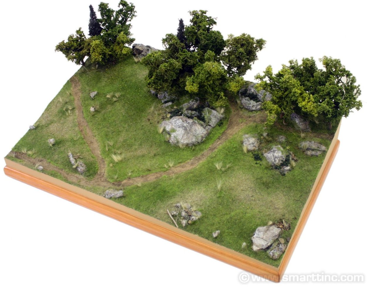 МГС диорама