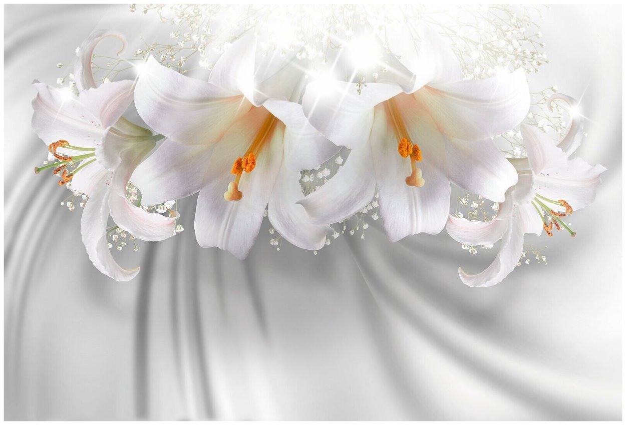 Лилия ла-гибрид Ercolano