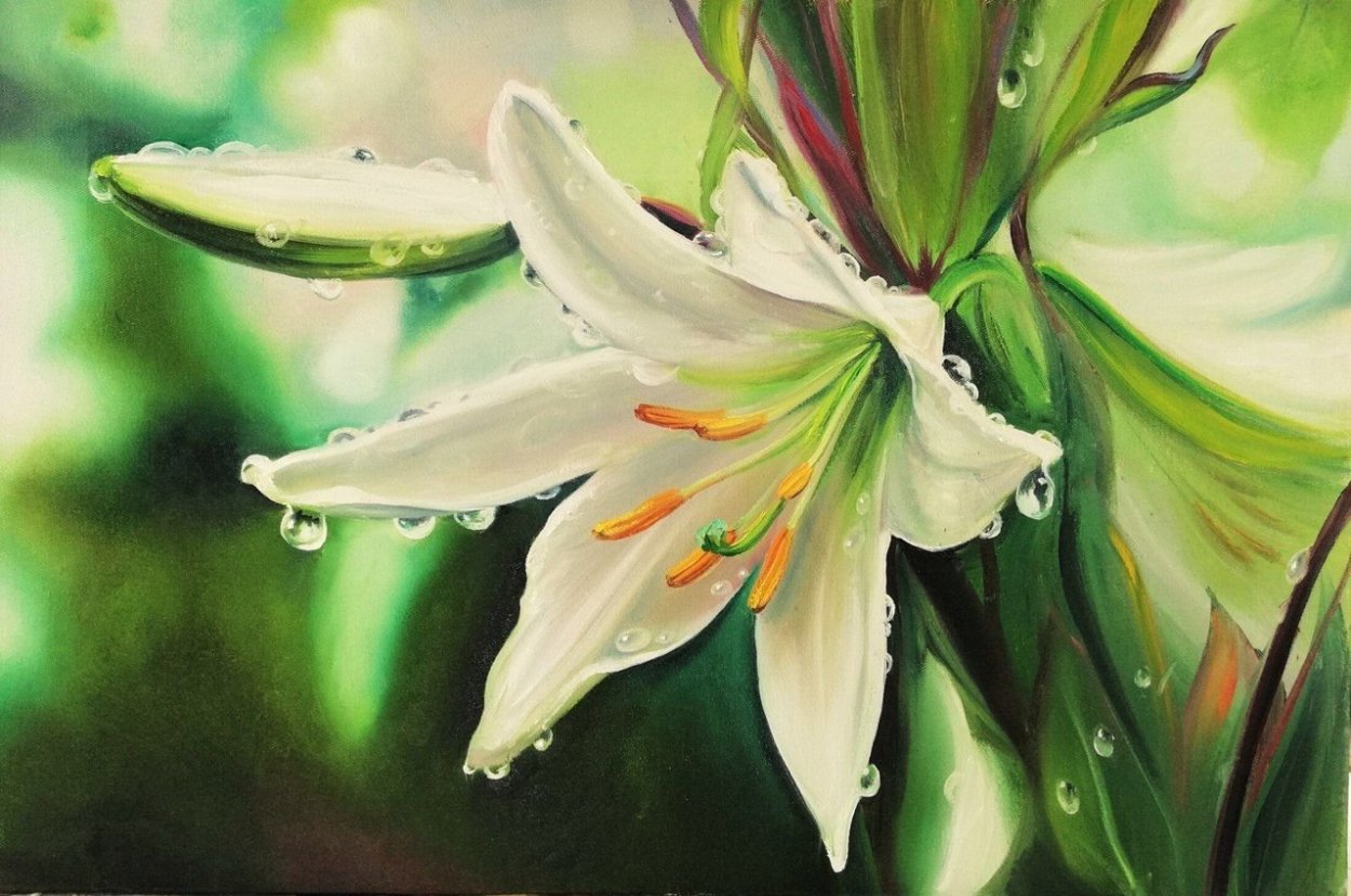 Лилии на клумбе