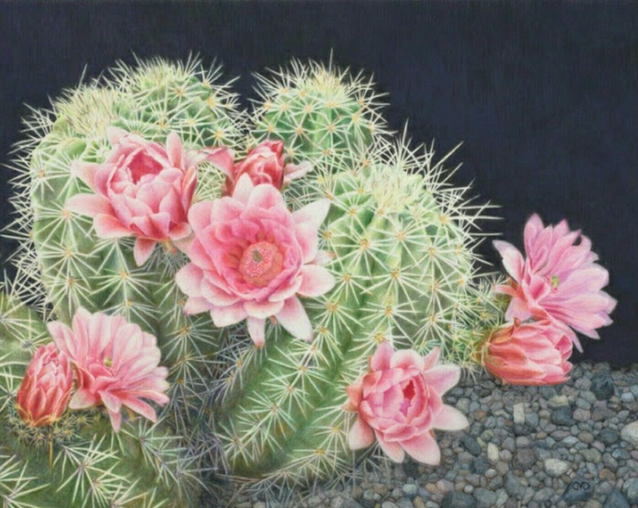 Картина с розовым кактусом