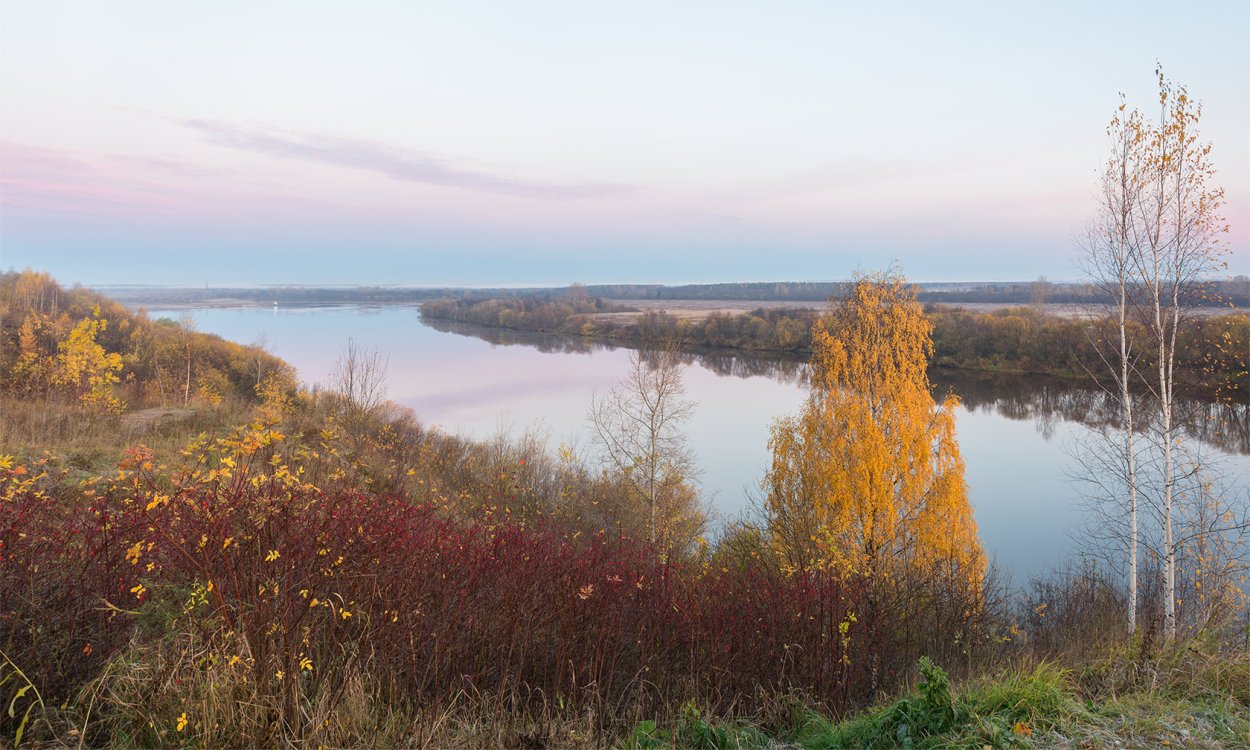 Растения реки вятки