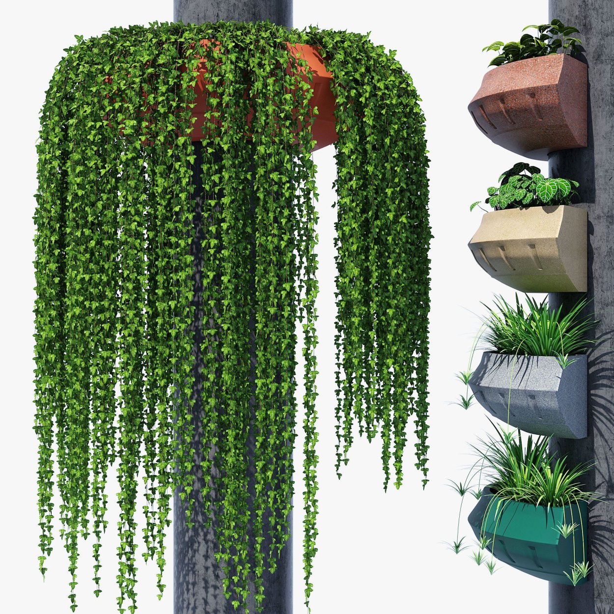 Свисающая зелень