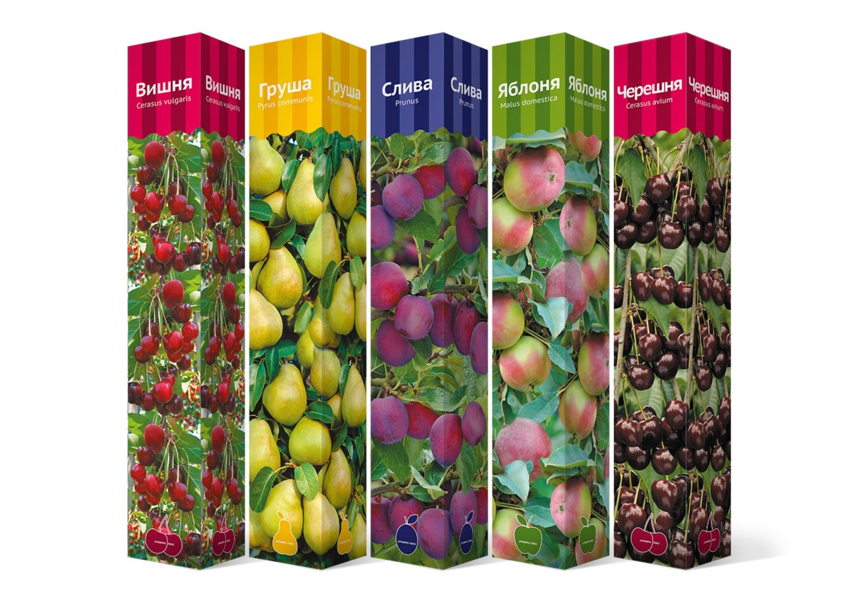 Саженцы в упаковке