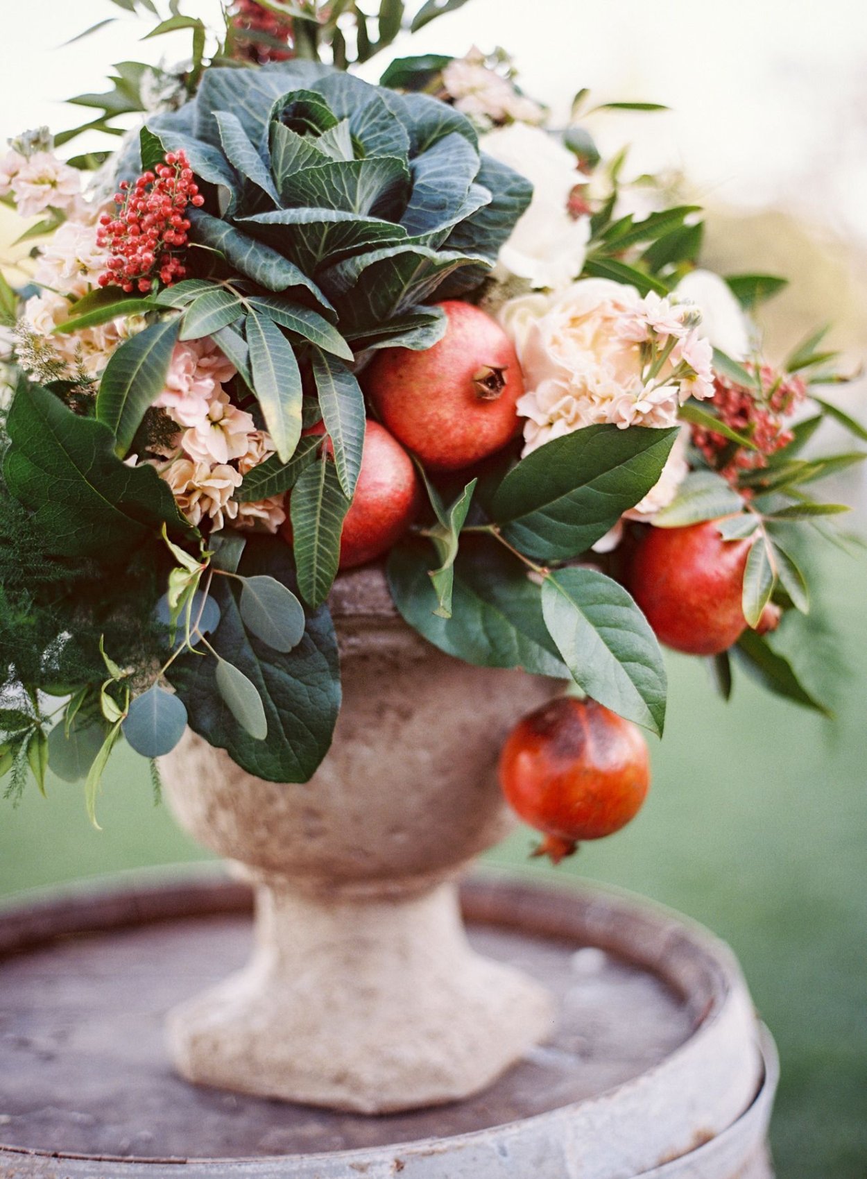 Гранат Король фруктов