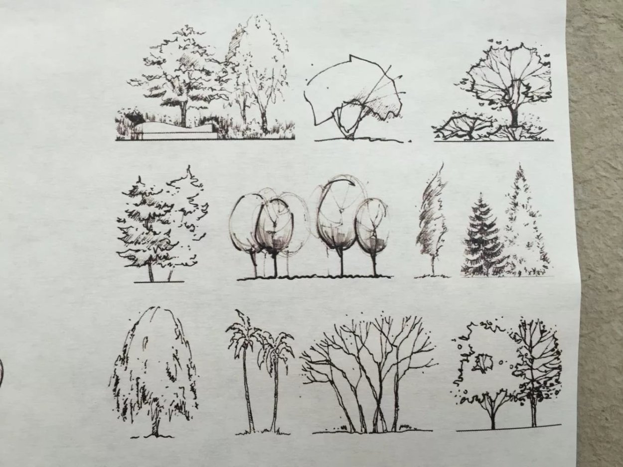 Рисование деревьев и кустарников