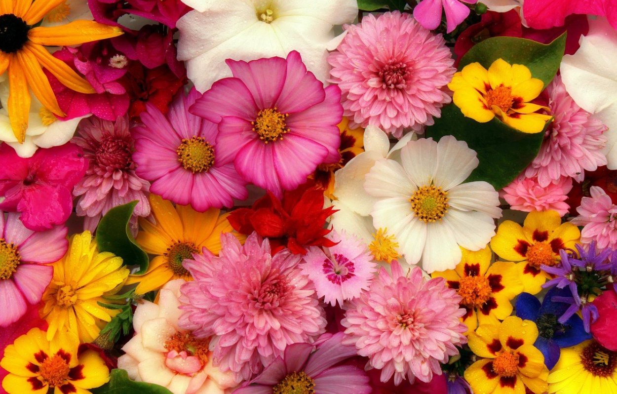 Яркий букет