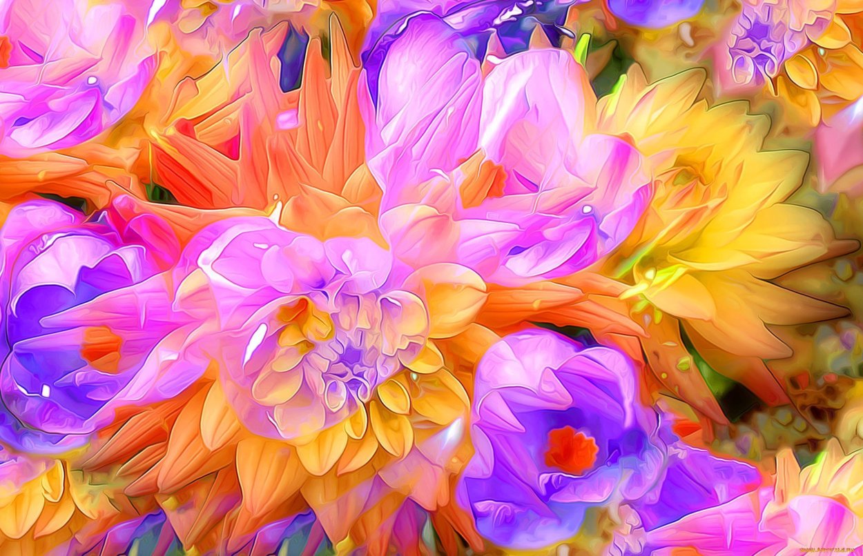 Красивые яркие цветы