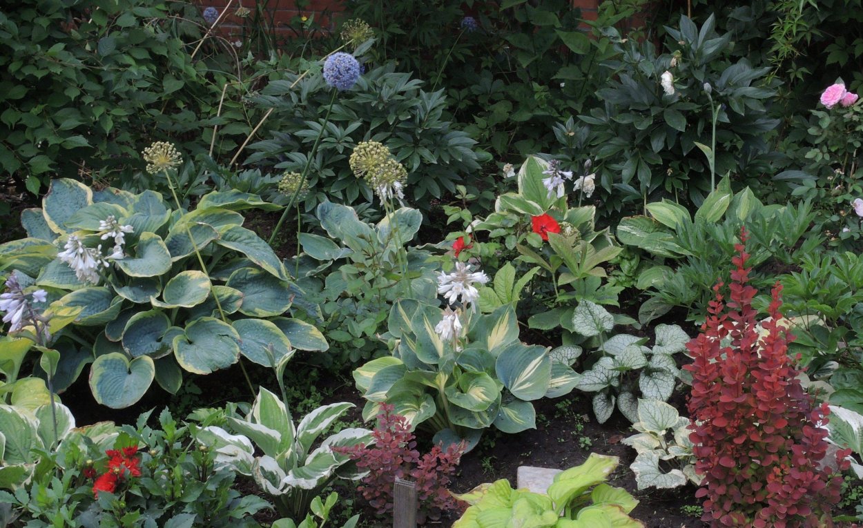 Миксбордеры Кекенхоф