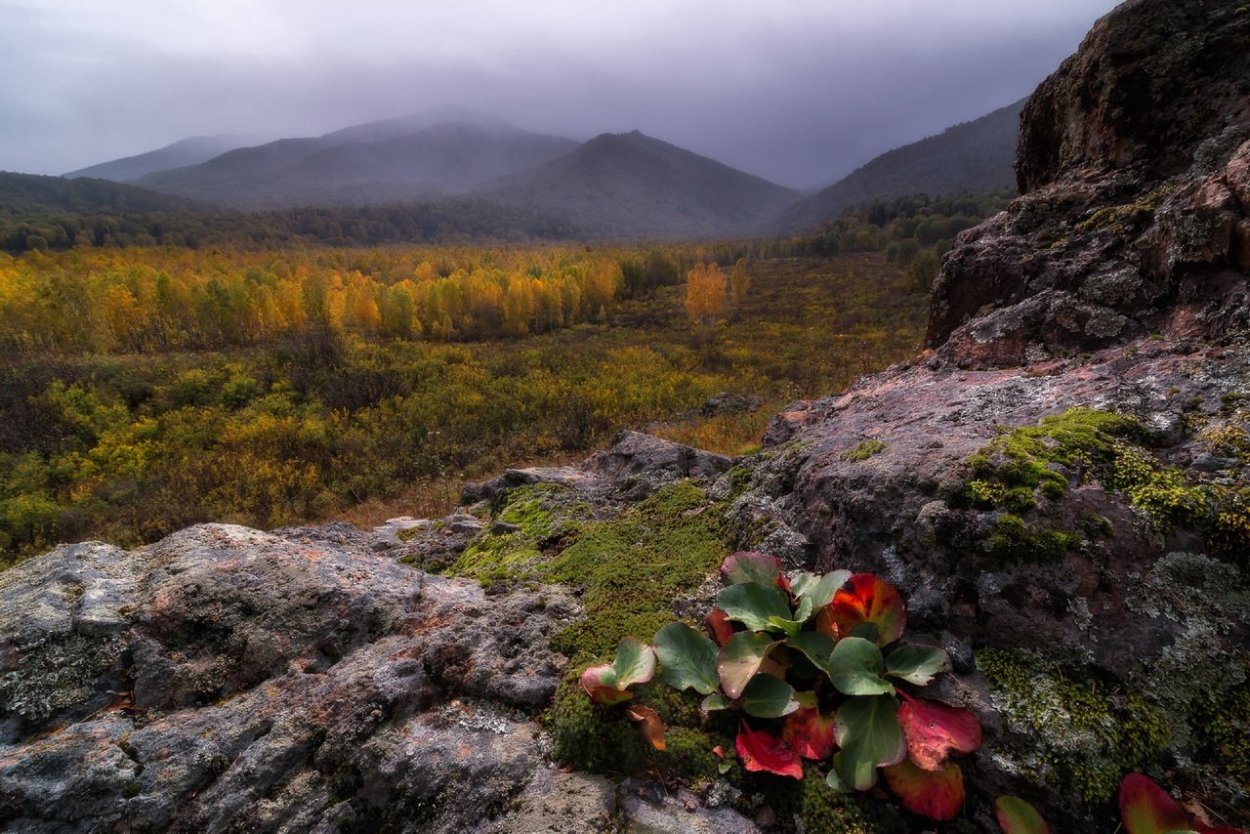 Дзержинский заповедник