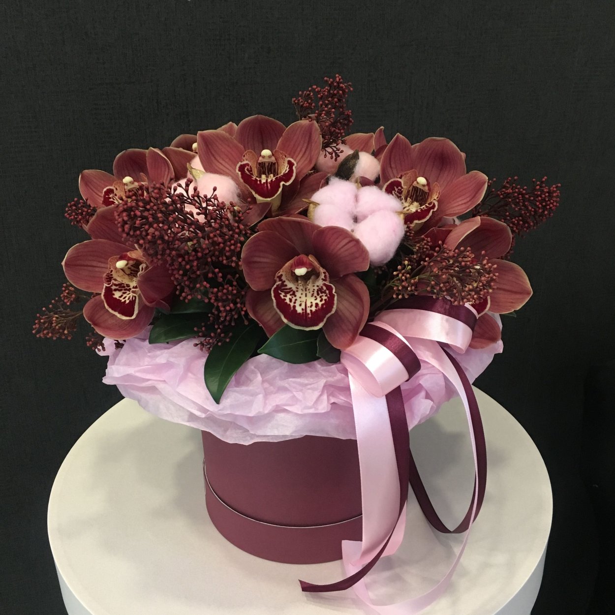 Амариллис темно бордовый