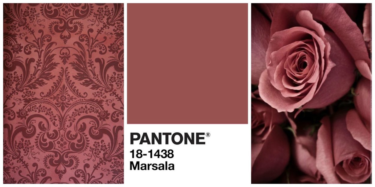 Чёрная Орхидея (Phalaenopsis Black)