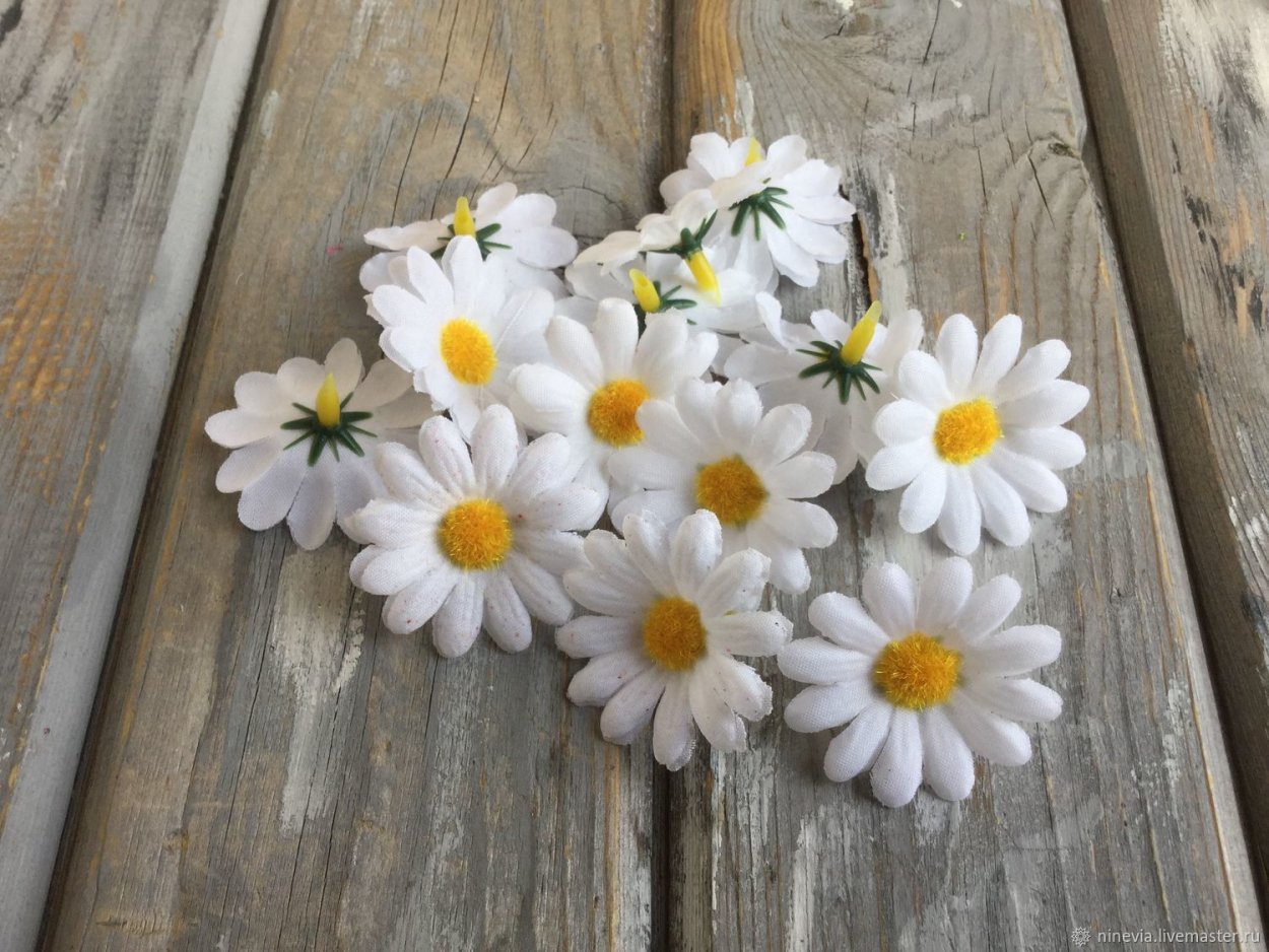 Цветочки ромашки