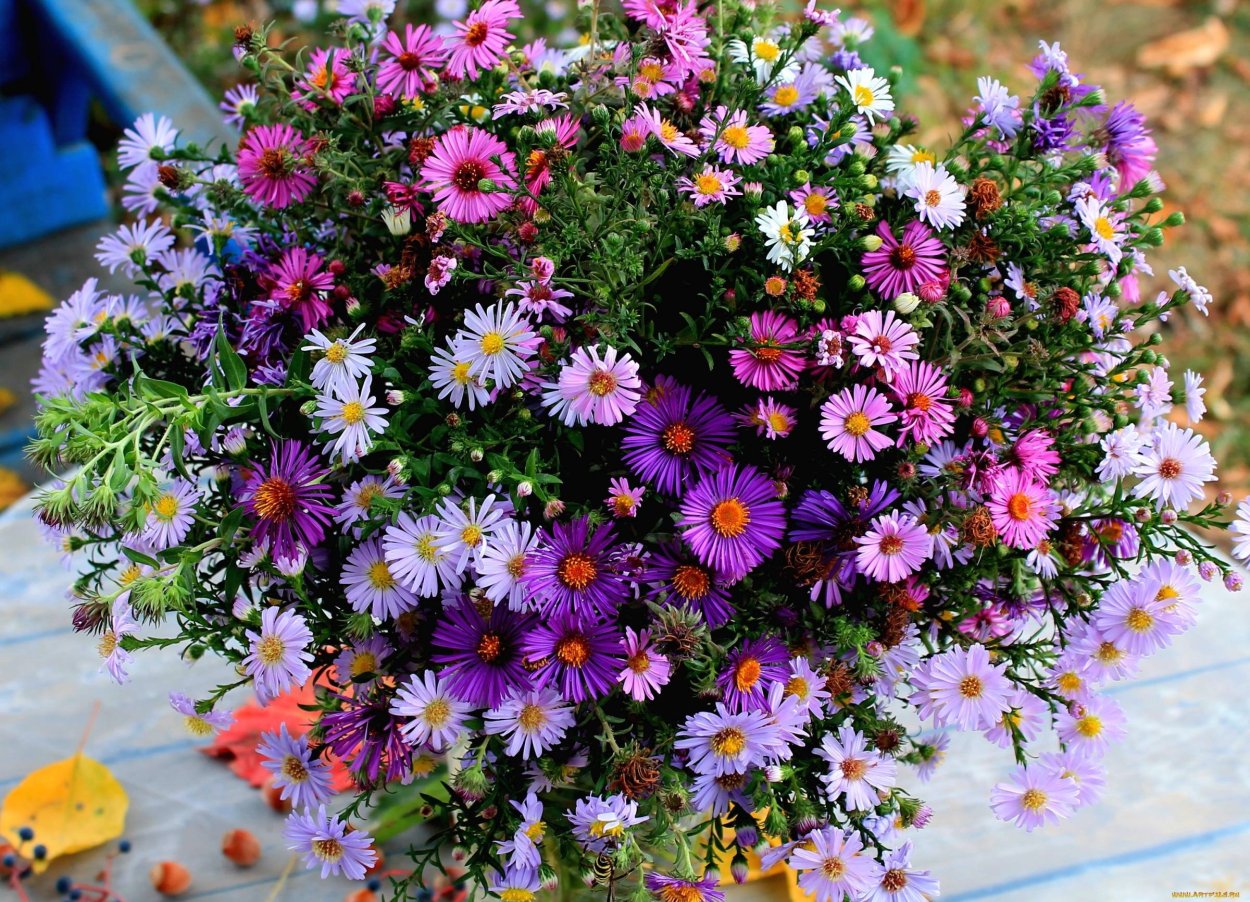 Сентябринки октябринки