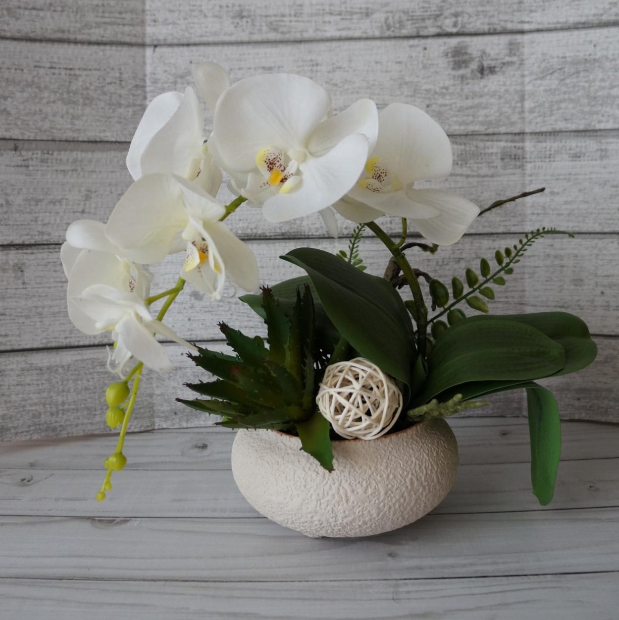 Stolk Flora орхидеи