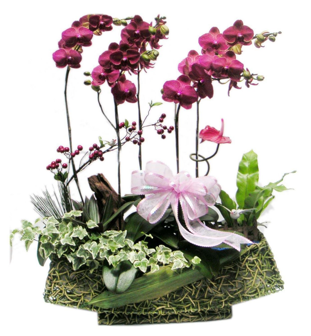 Композиция с орхидеями