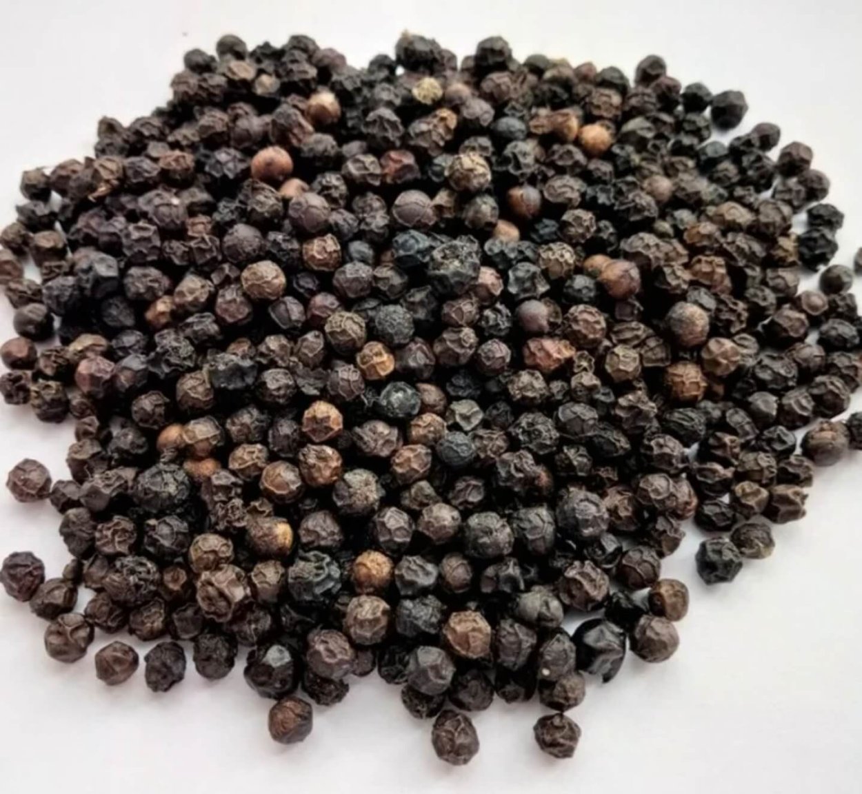 Фото черный перец в растении прозрачном фоне