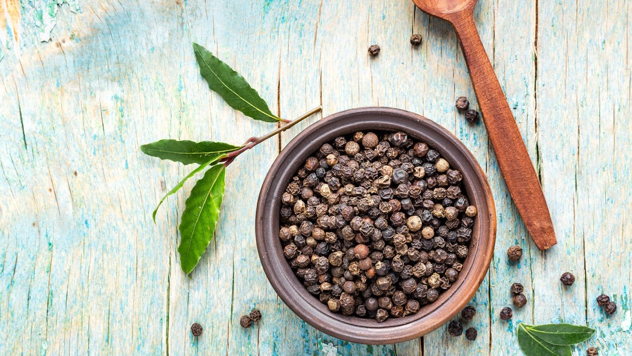 Черный перец вектор