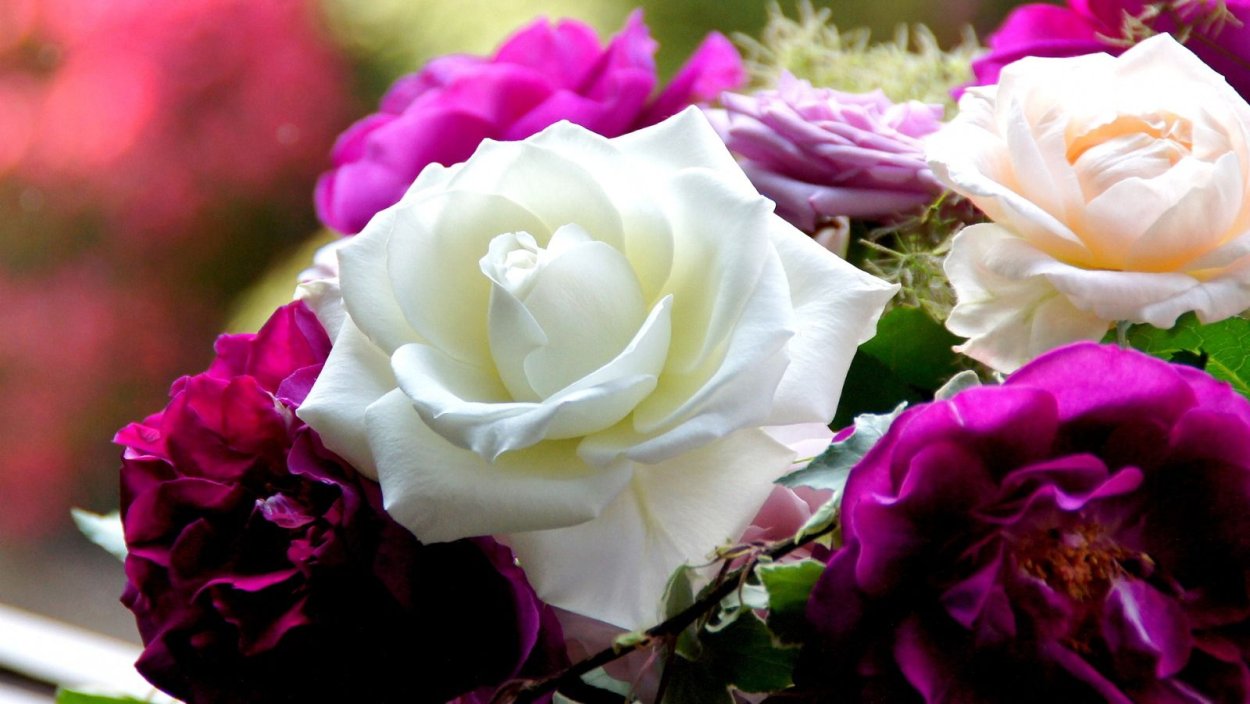 Обворожительные цветы